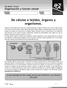 Organización y función celular De células a tejidos