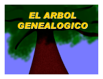 el arbol genealogico 01