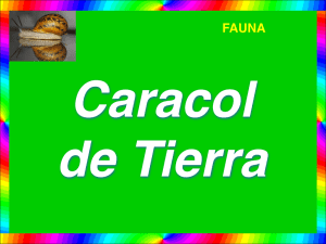 CARACOL DE TIERRA.pps