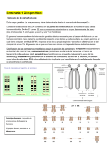 Seminario 1 Citogenética