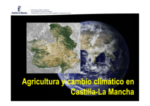 Descargar - Cooperativas agro-alimentarias Castilla