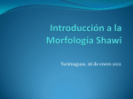 Introducción a la Morfología Shawi