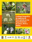 catalogo_baja CAUCA 2012