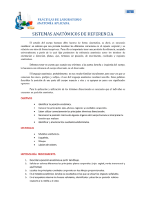 posici&oacute;n anat&oacute;mica y planos corporales