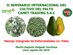 Manejo Integrado de Enfermedades