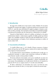 Cebolla - Publicaciones Cajamar