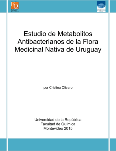 Estudio de Metabolitos Antibacterianos de la Flora Medicinal Nativa