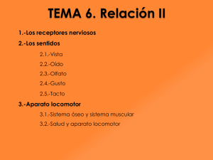 Relación II - IES GAMONARES