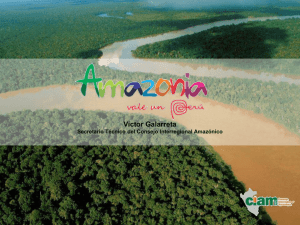 Prioridades para el desarrollo de la Amazonía en el Perú