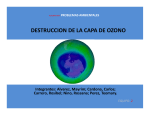 DESTRUCCION DE LA CAPA DE OZONO