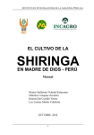 el cultivo de la shiringa en madre de dios