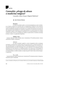 Cannabis: ¿droga de abuso o medicina mágica?