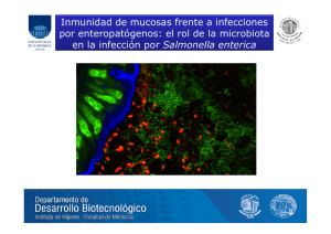 Inmunidad de mucosas frente a infecciones por enteropatógenos: el