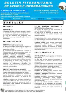 Bolet&iacute;n n&ordm; 5 - Junta de Extremadura