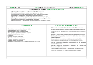 concreción de los objetivos al curso contenidos criterios de evaluación
