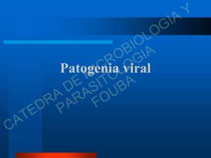 patogenia viral