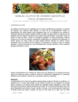 MANUAL CULTIVO DE DIONAEA MUSCIPULA (venus atrapamoscas)