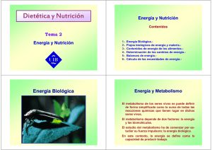 Tema 2 [Modo de compatibilidad]