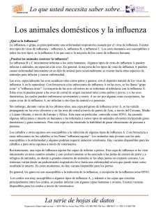 Los animales domésticos y la influenza
