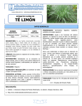 Té Limón