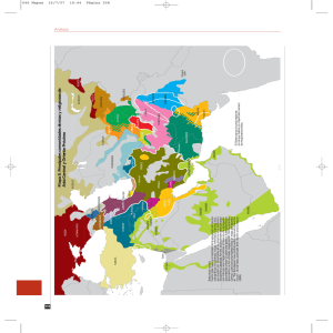 Mapa 8 Principales comunidadesétnicas y religiosas de Asia