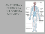 File - Anatomía y Fisiologia 241