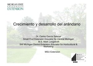 Crecimiento y desarrollo del arándano