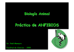 Practico de Anfibios - Facultad de Ciencias