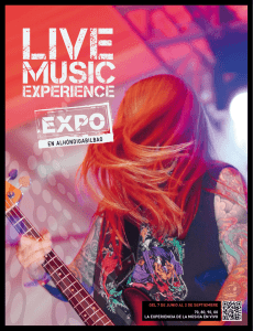 Live Music Experience