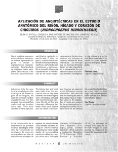 Imprima este artículo