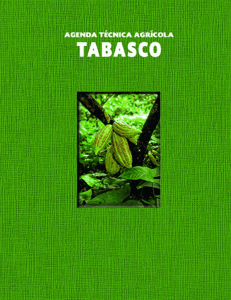 Tabasco - SER Mexicano