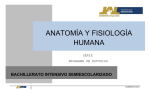 Anatomía Fisiología Humana