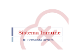 Sistema Inmune - CHLA-EP