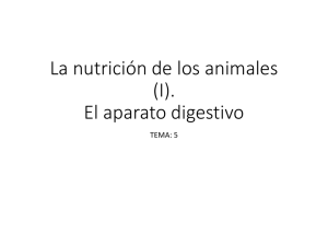 La nutrición de los animales (I). El aparato digestivo