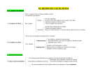 EL REINO DE LAS PLANTAS