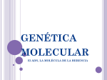 genética molecular