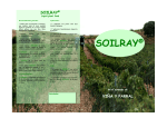 soilray - Foodplant