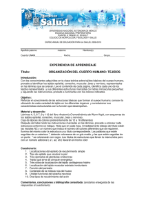ORGANIZACIÓN DEL CUERPO HUMANO: TEJIDOS