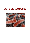 Texto sobre la Tuberculosis.