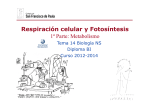 metabolismo - Ciencias con D. Germán