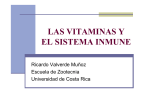 las vitaminas y el sistema inmune