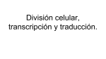 División celular, transcripción y traducción.