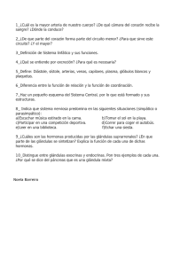 1_¿Cuál es la mayor arteria de nuestro cuerpo? ¿De qué cámara