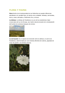 flora y fauna - Salesianos Pozoblanco
