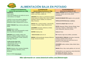 ALIMENTACIÓN BAJA EN POTASIO