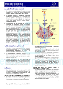 Hipotiroidismo - Endocorpas.com