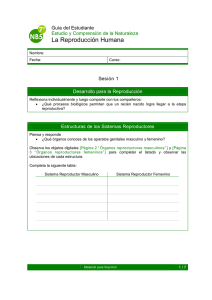 Actividad para fotocopiar 2