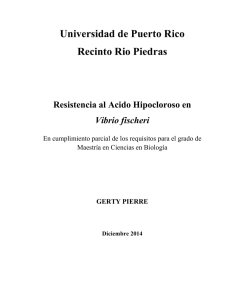 tesis GERTY PIERRE.Version Finale S