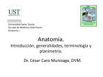 001-2014-CC-Anatomia, introduccion