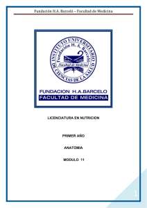 Fundacin HA Barcel Facultad de Medicina